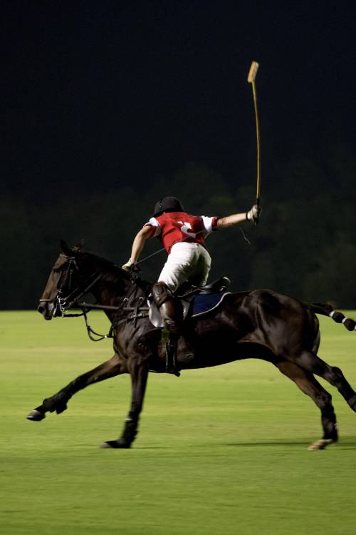 At Night Polo player and horse playing in games.